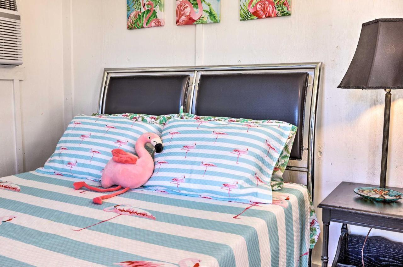 Flirty Flamingo Studio 1 Mi To Canyon Lake Exterior foto